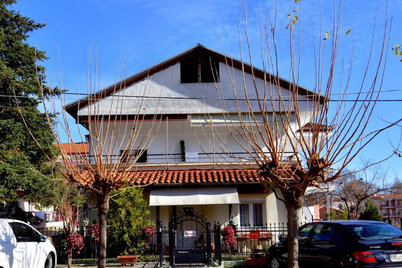 Zeusplace Georgia House Apartment Leptokarya  Exterior photo